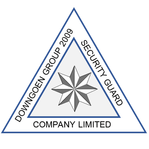 DSG Security